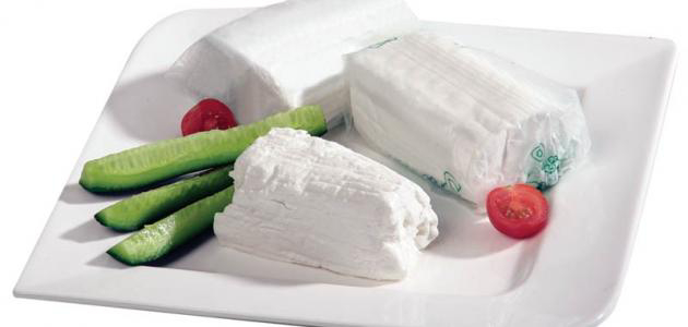 الزبادي اليوناني أم الجبن القريش.. أيهما أكثر فائدة لصحتك؟