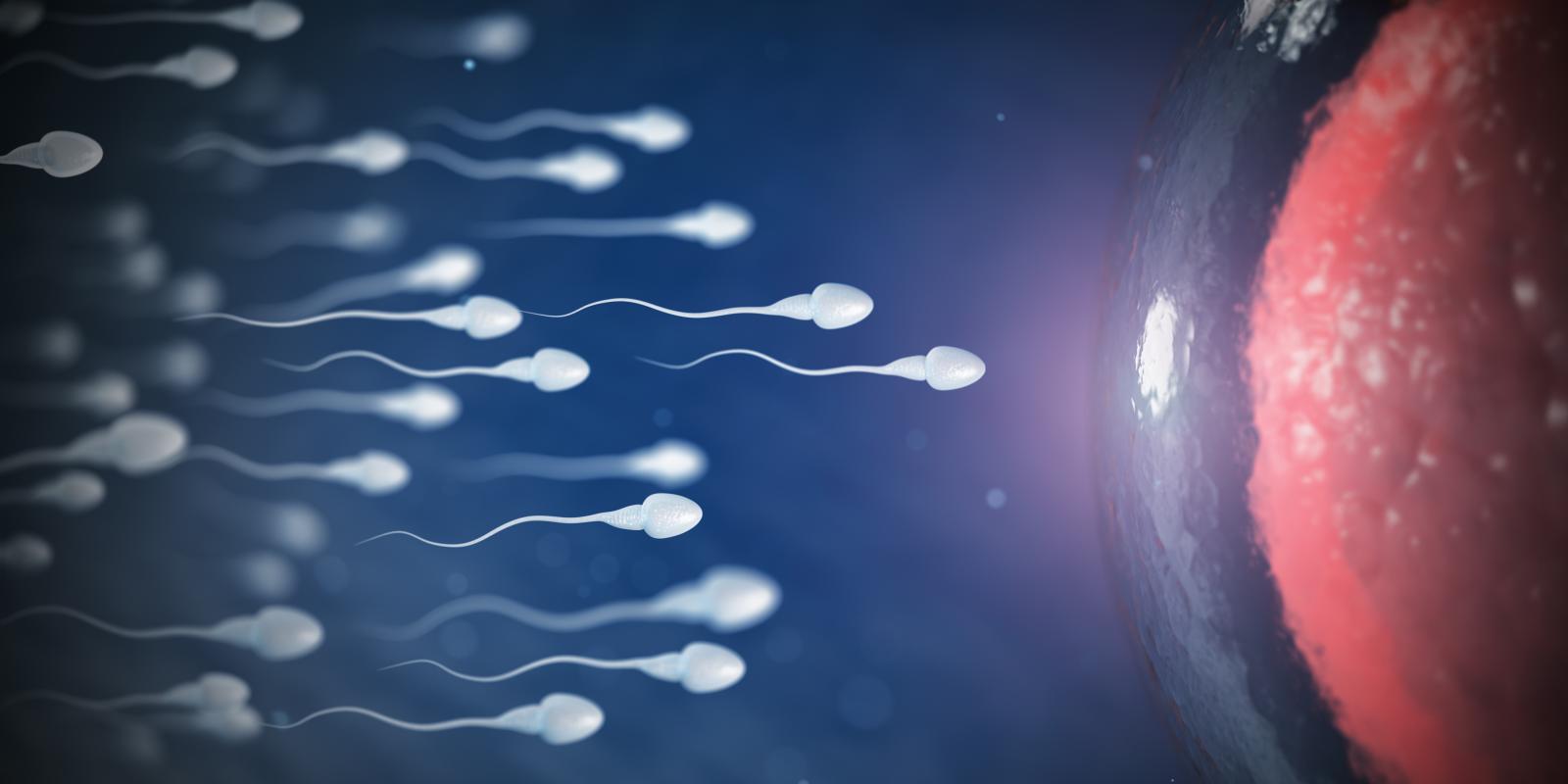 التدخين لا يضر الرئتين فقط -