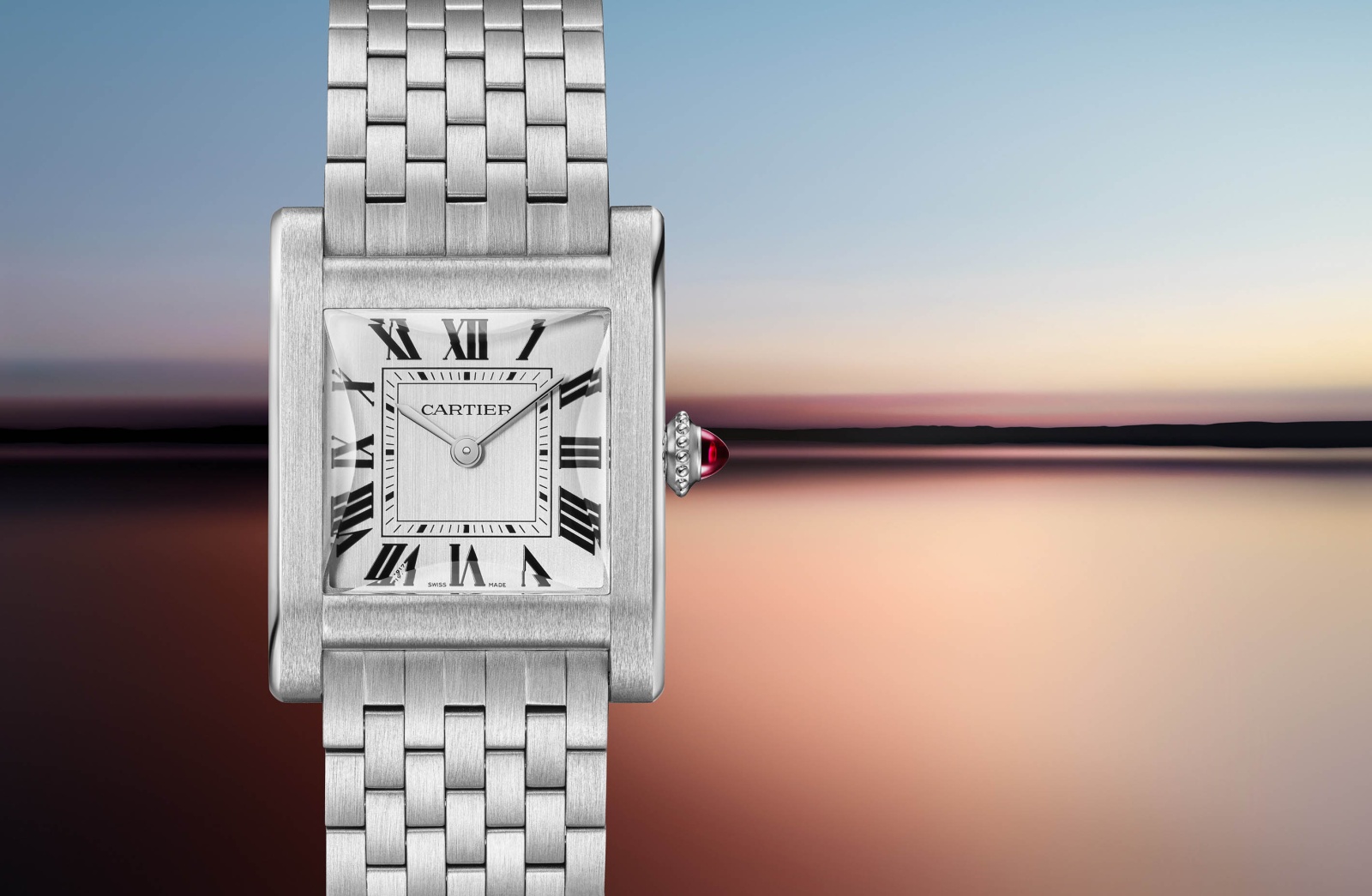  Cartier TANK Normale Platinum من Cartier