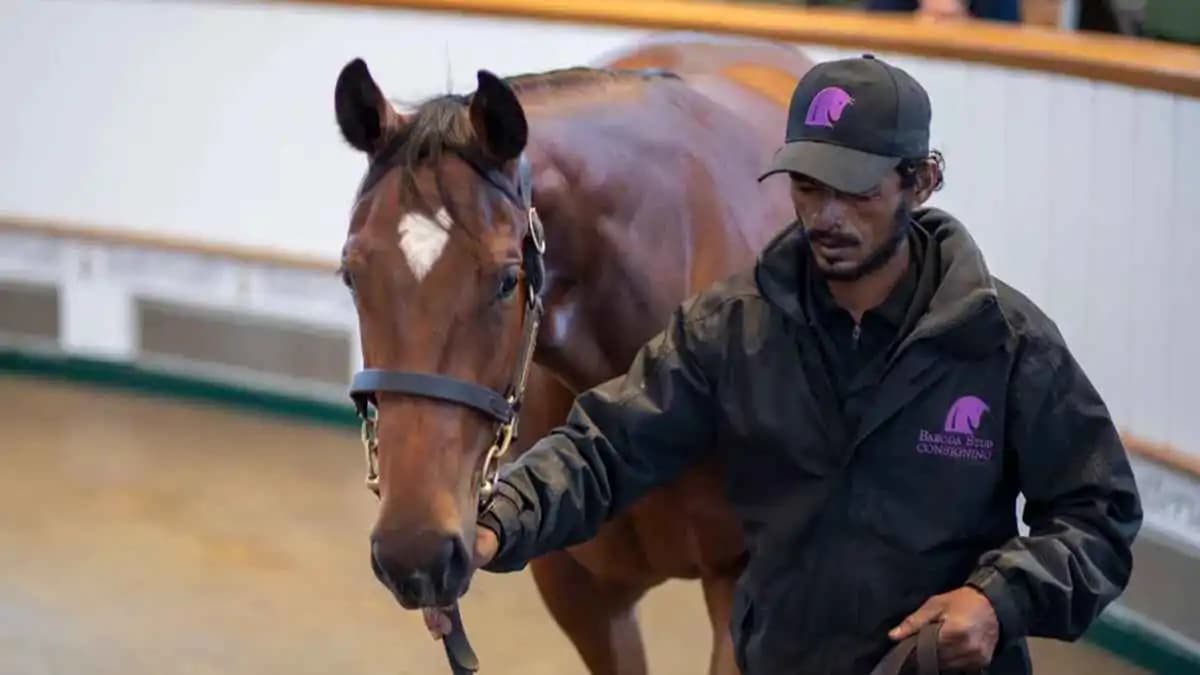 حصان خارق يمنح مراهقين ربحًا قدره 472,500 دولار