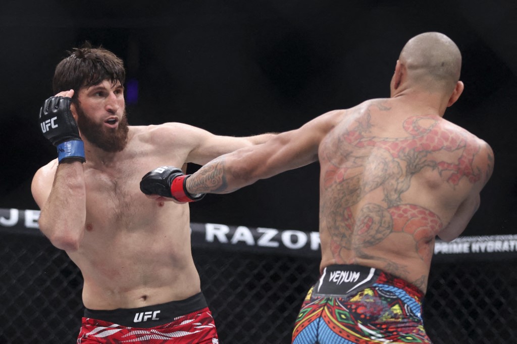 كم تبلغ ثروة المقاتل ماجوميد أنكالاييف وما يحصل عليه في كل نزال؟