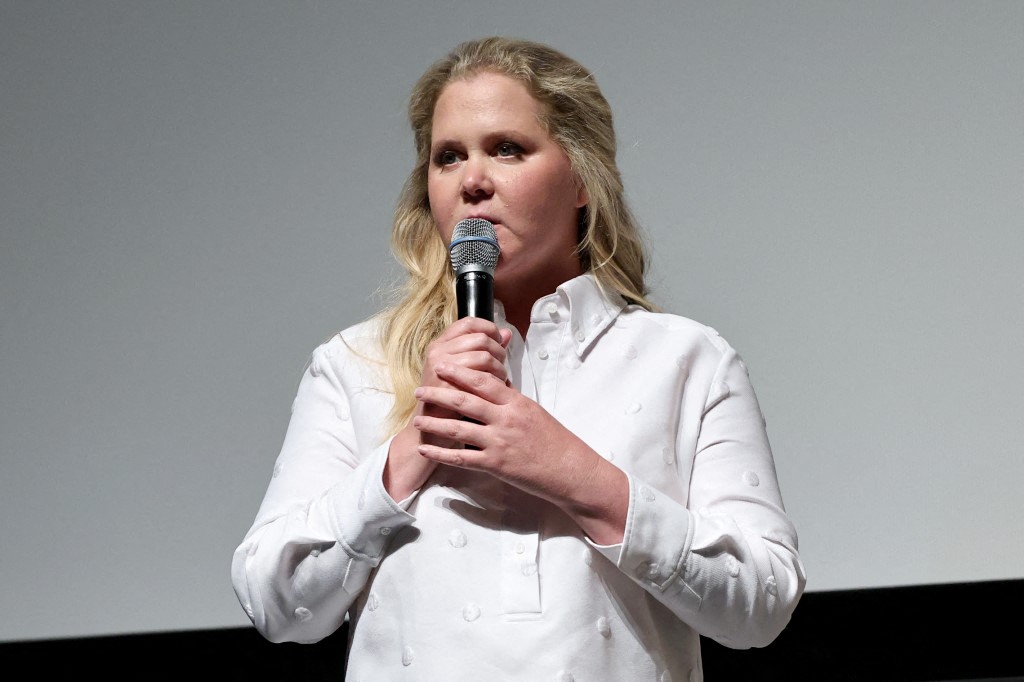 إيمي شومر - المصدر: Getty