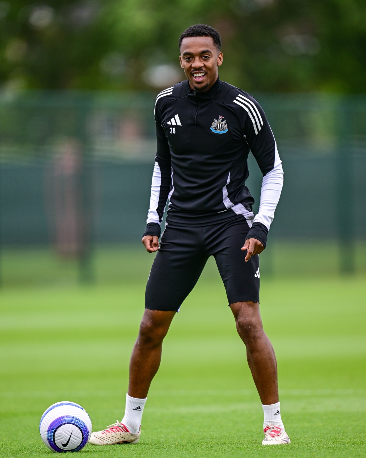  التشكيلة المتوقعة لنيوكاسل