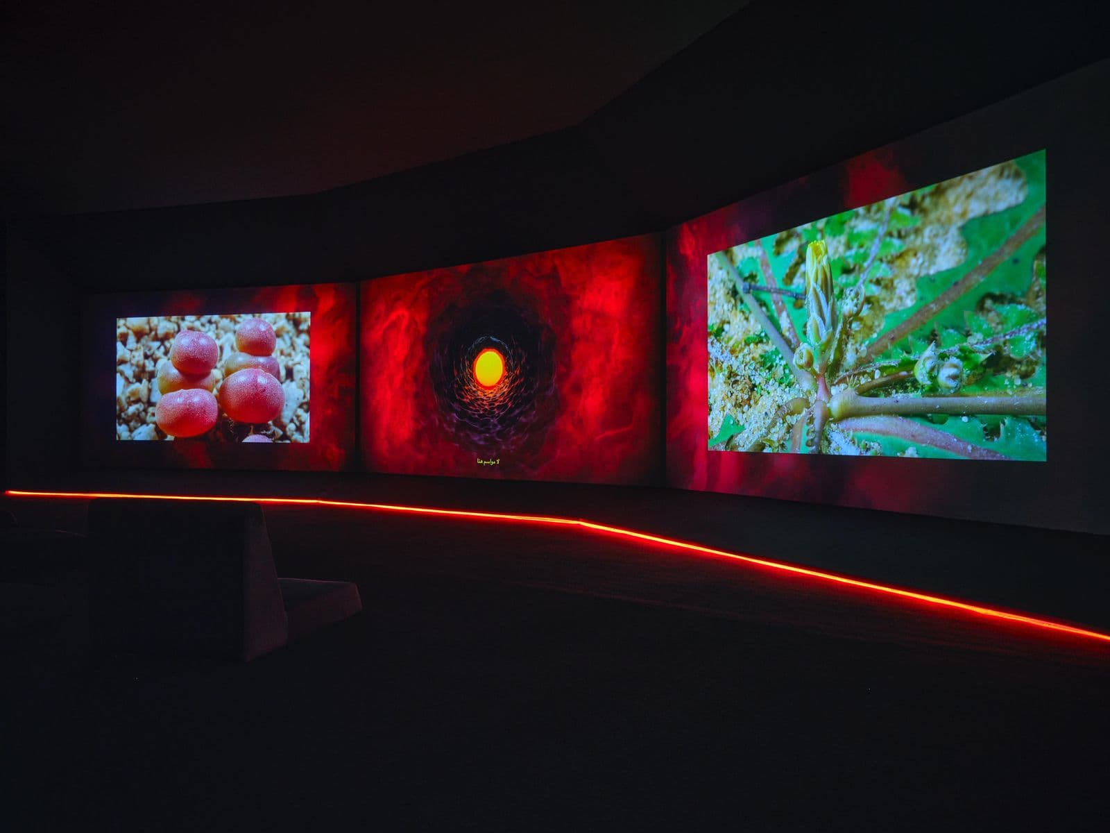 معرض «فنّ المملكة» يحُط رحالهُ في المتحف السعودي للفن المعاصر في جاكس 