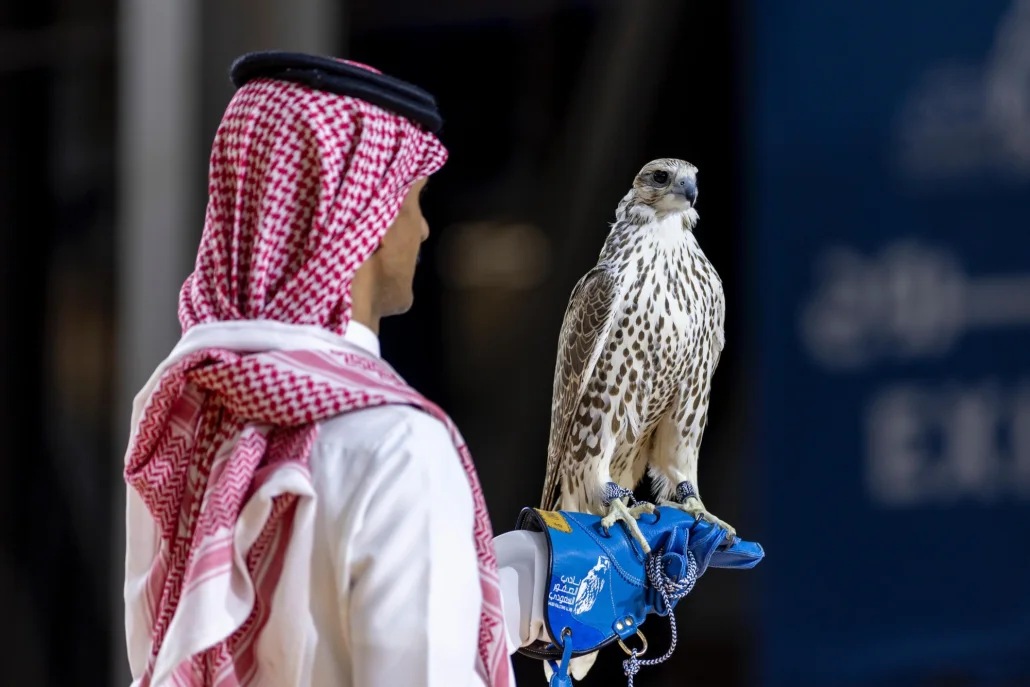 بقيمة تقارب المليون ريال بيع 3 صقور في مزاد الصقور السعودي