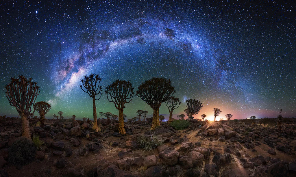 صحراء ناميب