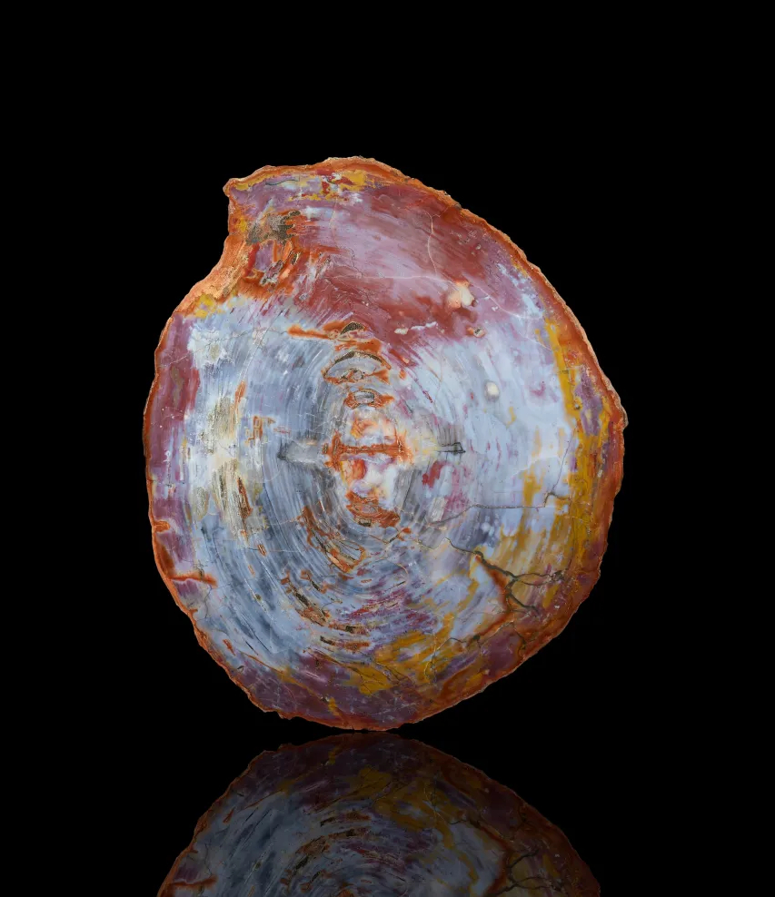 مزاد Heritage Auctions يجمع بين الأحافير والنيازك والأحجار الكريمة