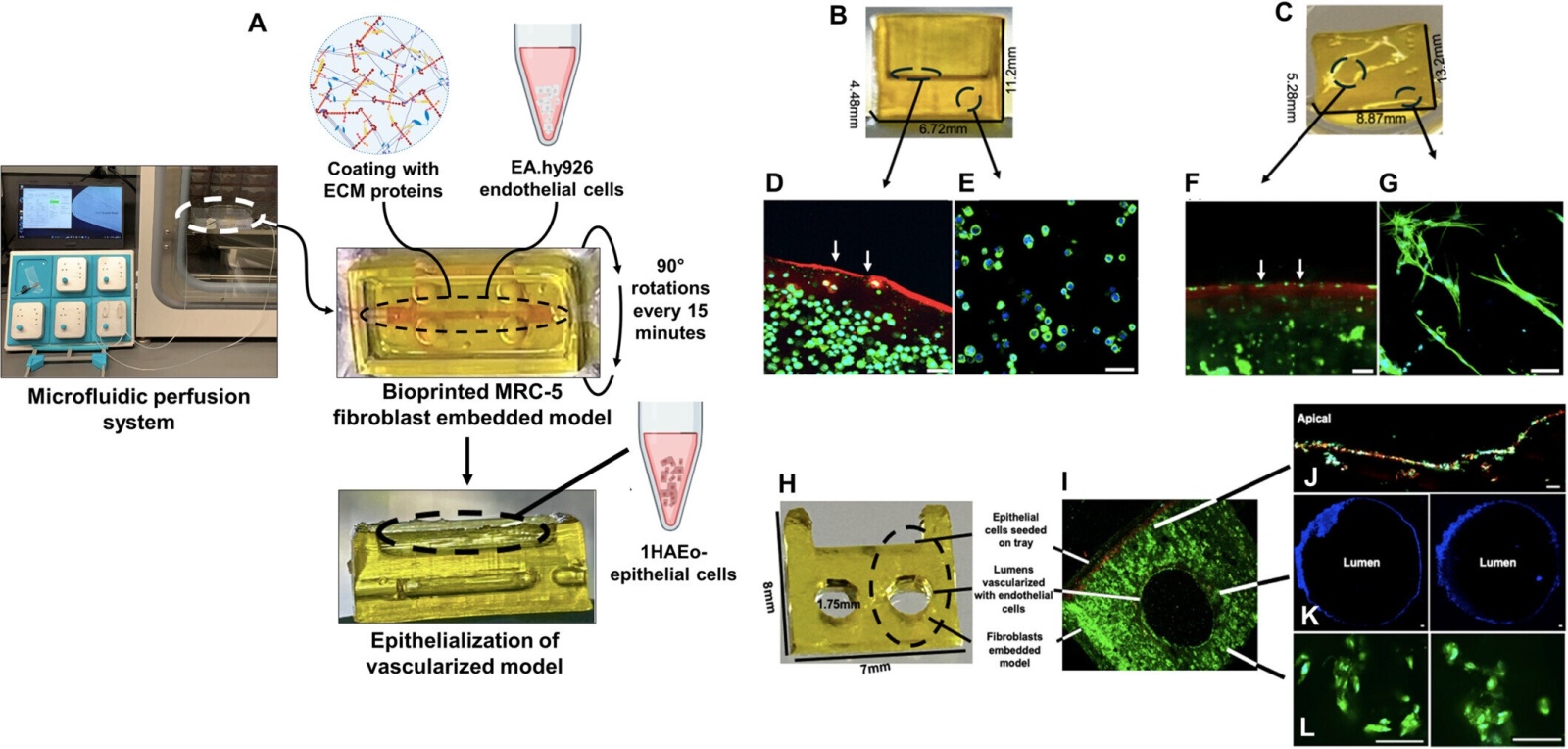 Biotechnology and Bioengineering 