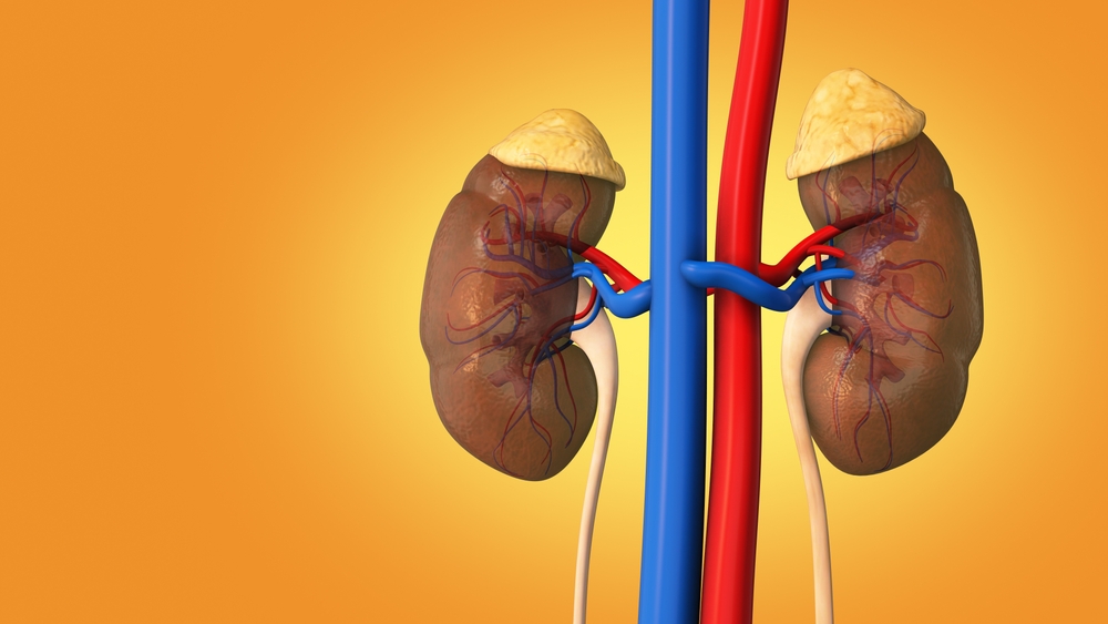 دراسة: مكملات فيتامين C قد تضاعف خطر حصوات الكلى لدى الرجال