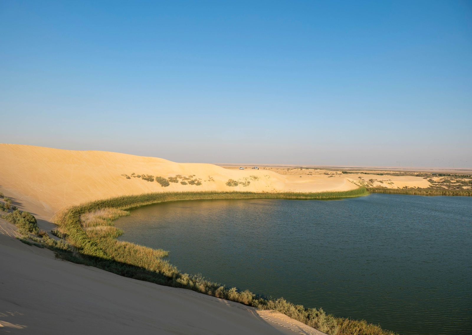 بحيرة الأصفر