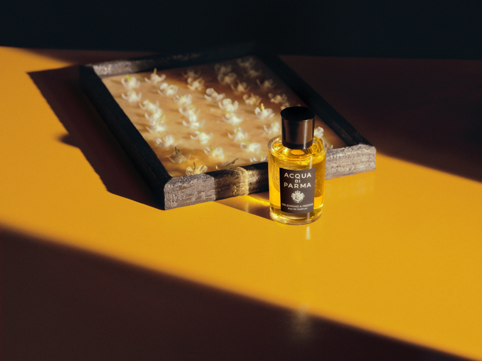 عطر Gelsomino A Freddo 
