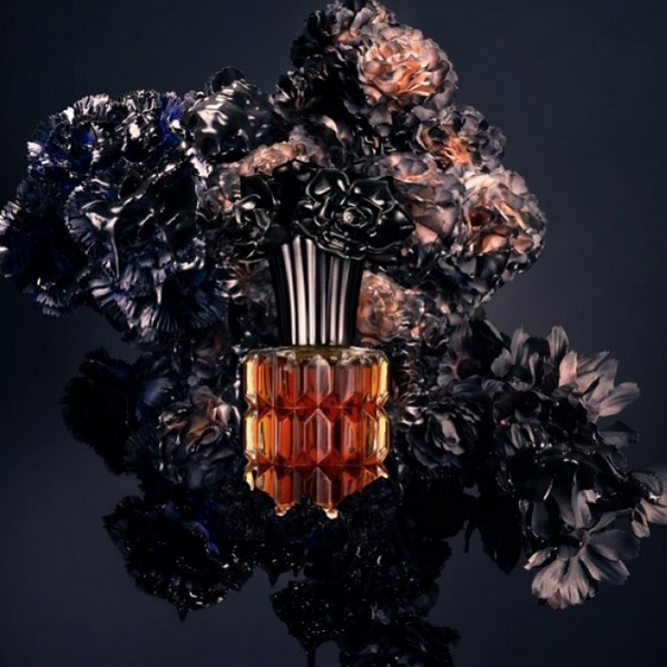عطور نيش Niche 