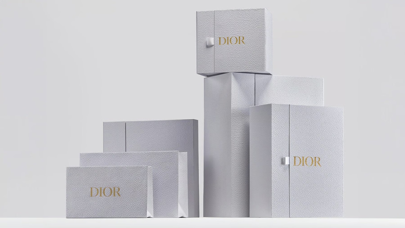 حقائب وصناديق علامة ديور Dior 
