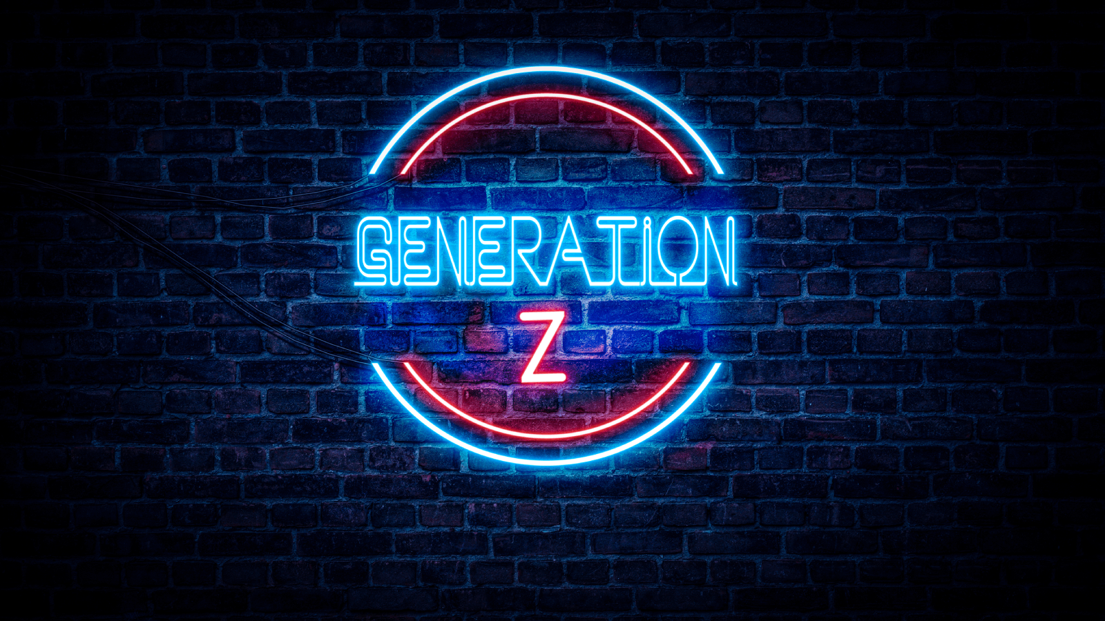 جيل Z يُعيد النظر في التعليم الجامعي: البطالة لا تفرّق بين الحاصلين على شهادة ومن دونها