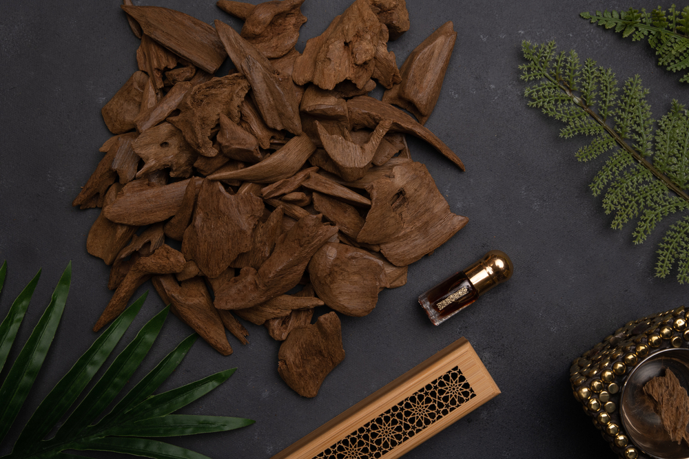 العطور الخشبية مميزة لعطر يلازم المرء طوال اليوم