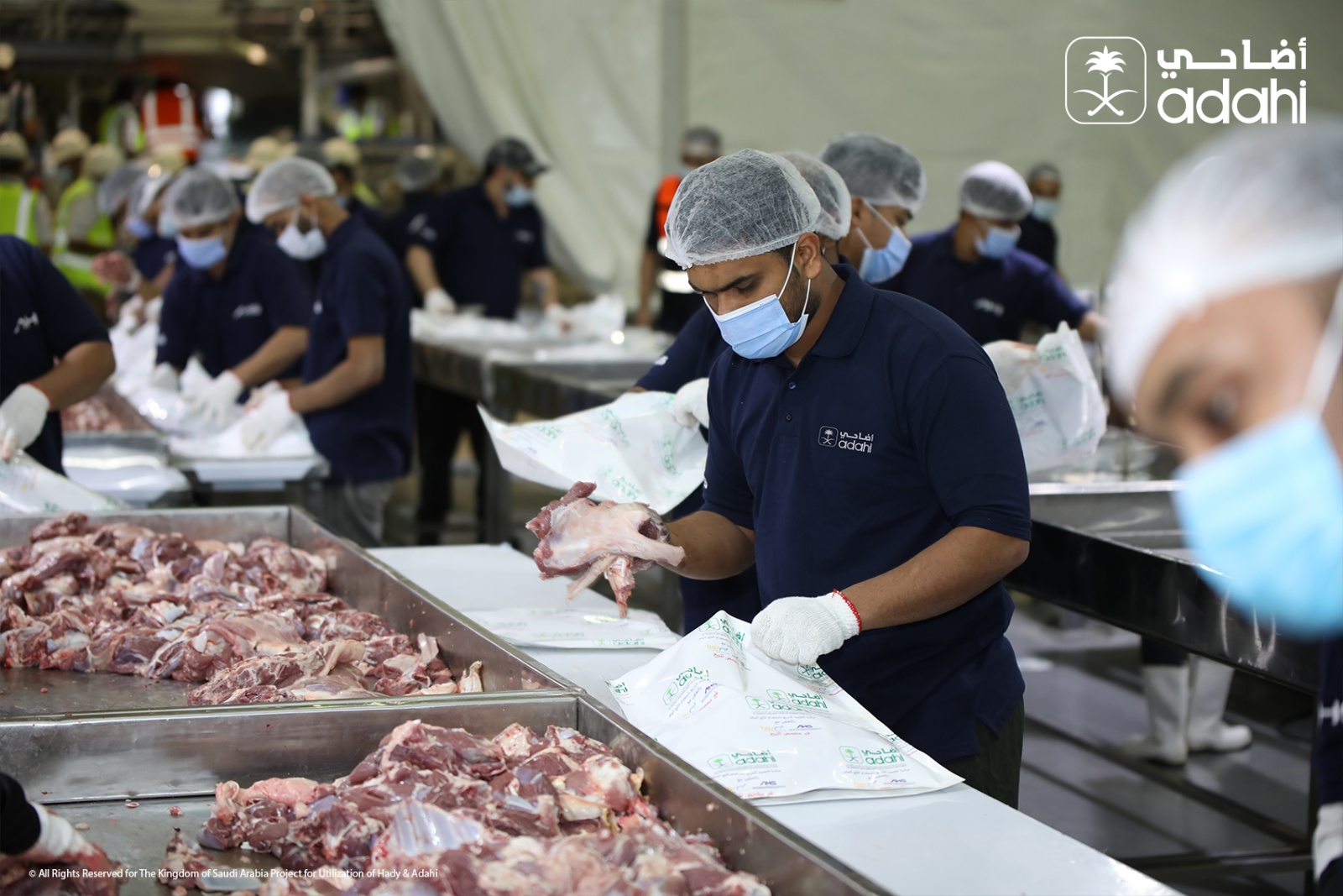 جانب من تجهيز الأضاحي