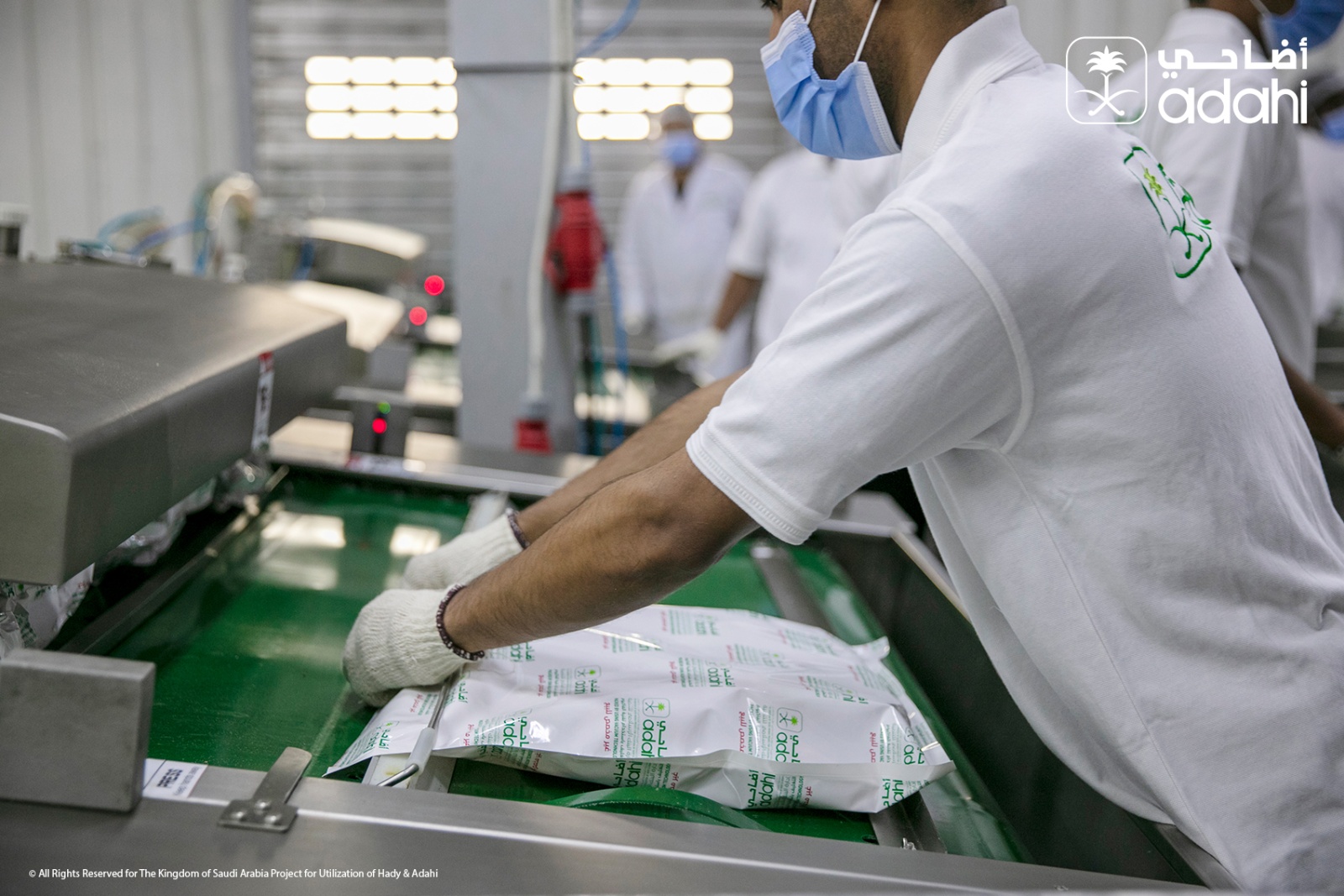 جانب من تجهيز الأضاحي