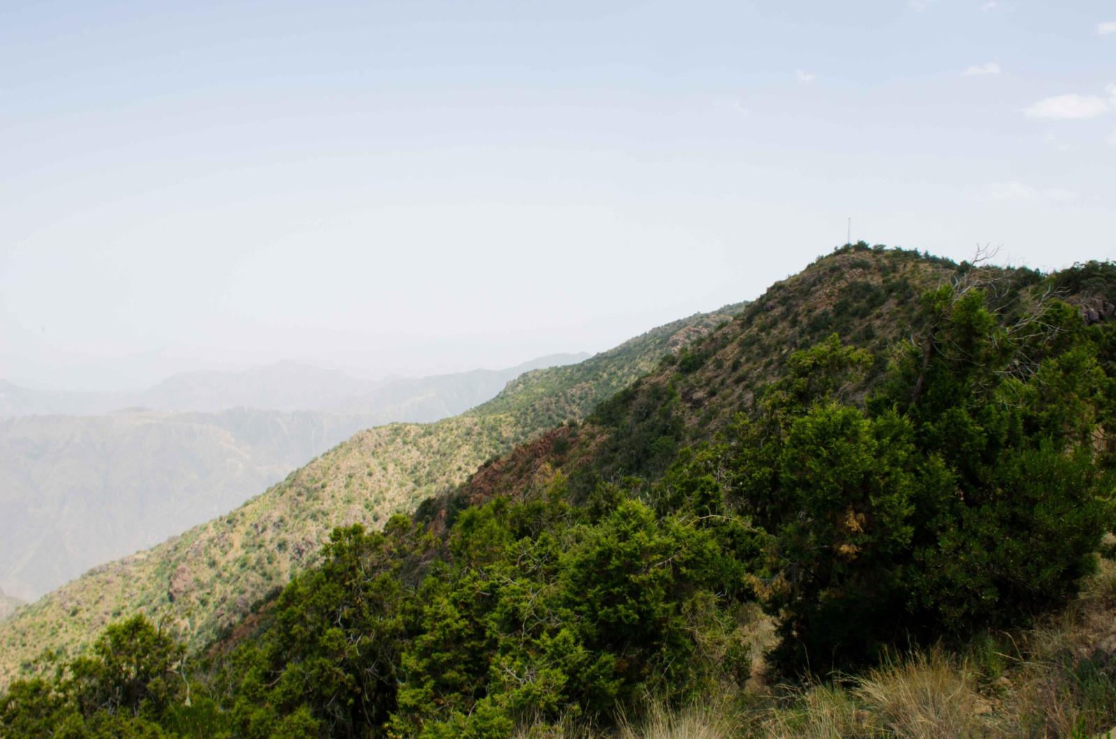 القمم الجبلية في منطقة عسير