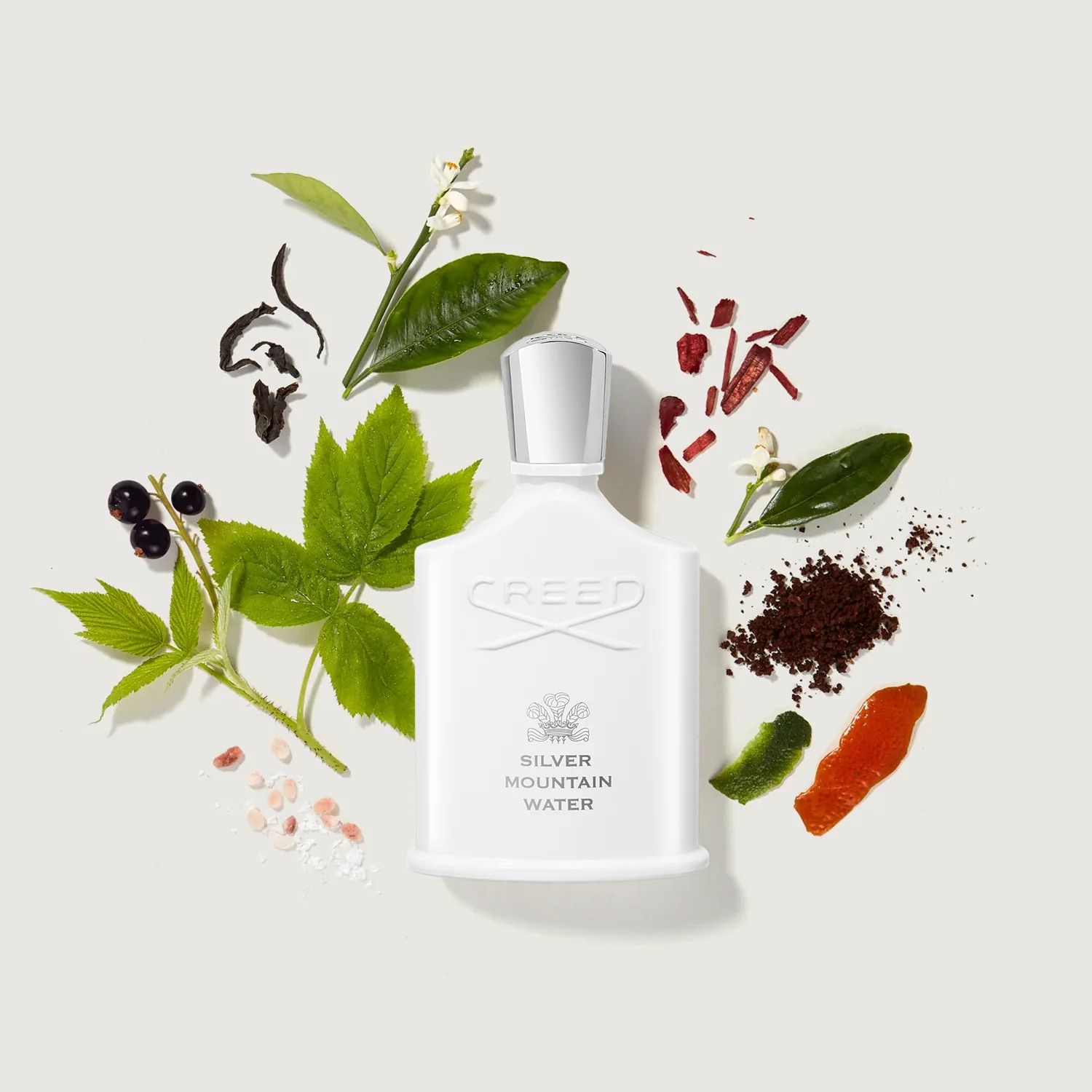 عطر سيلفر ماونتن ووتر الخشبي بمزيج من الحمضيات والفواكه