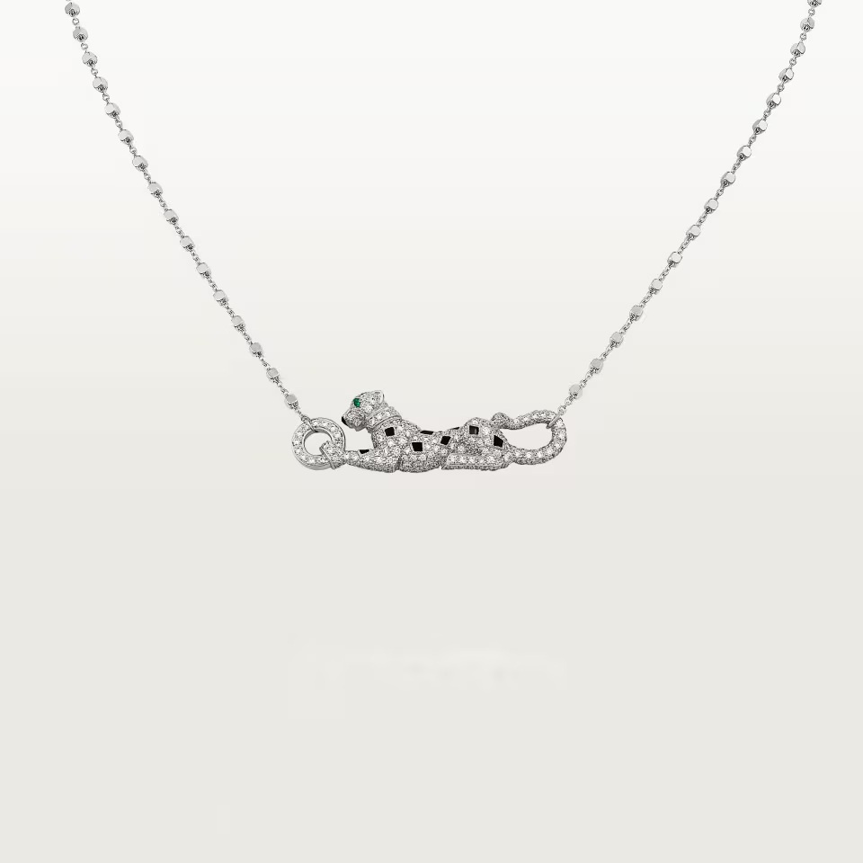 صورة لسلسلة تيموثي شالاميه عن قرب