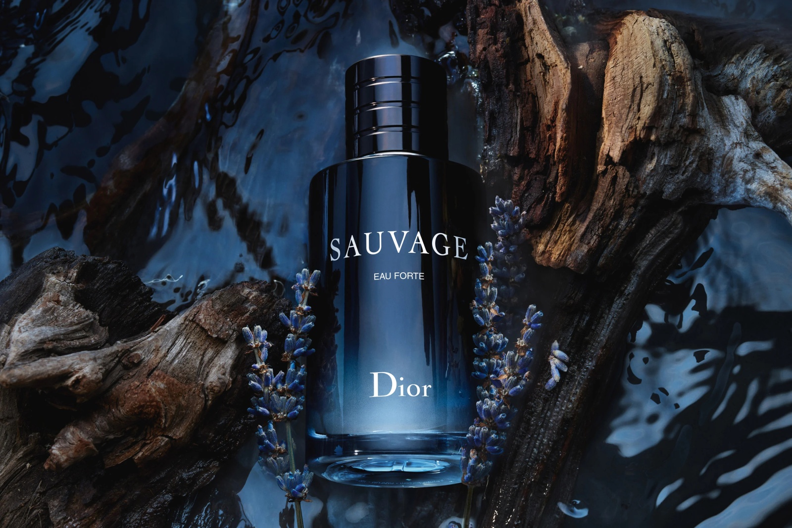 عطر Sauvage الشهير معشوق الرجال والنساء