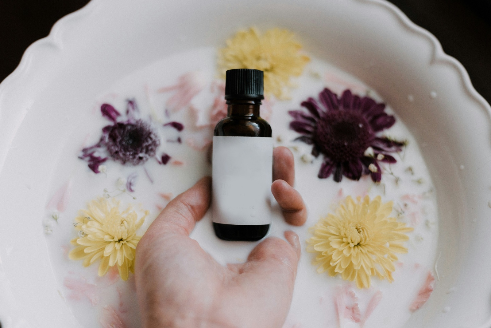 للعطور نوتات تميز رائحتها وعائلتها للعطور نوتات تميز رائحتها وعائلتها
