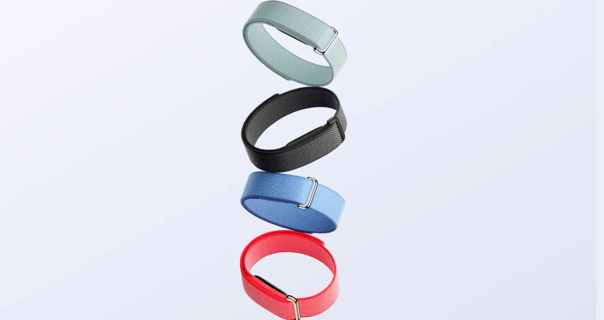 Google Fitbit Air