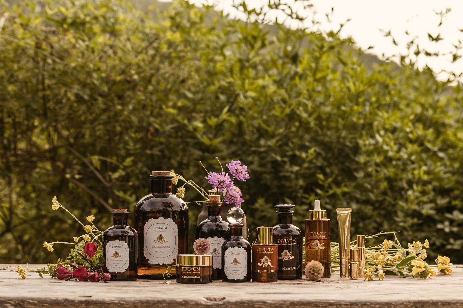 إطلاق Divinom في دبي: مفهوم جديد للجمال 