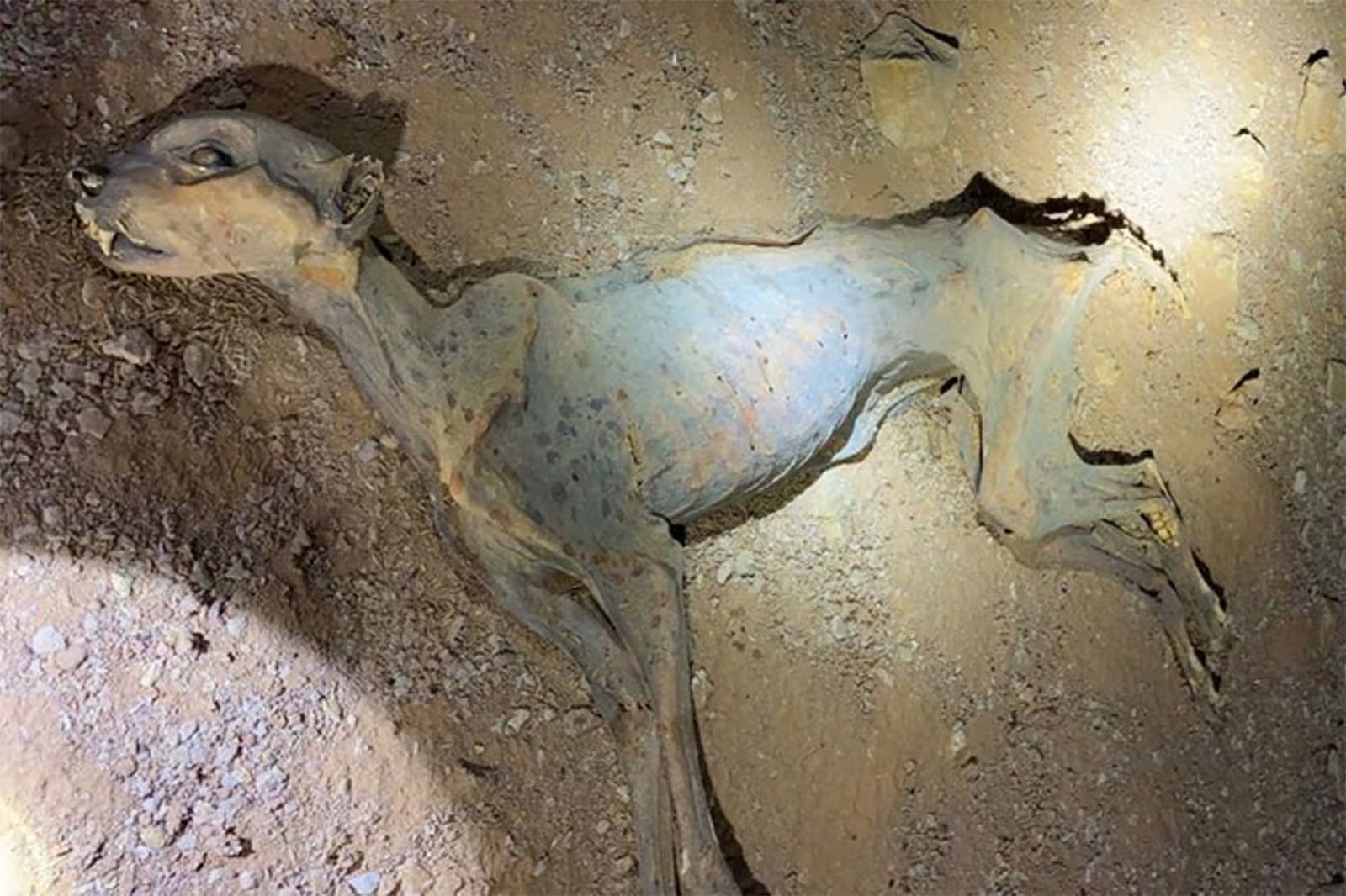 اكتشاف مذهل في كهوف السعودية