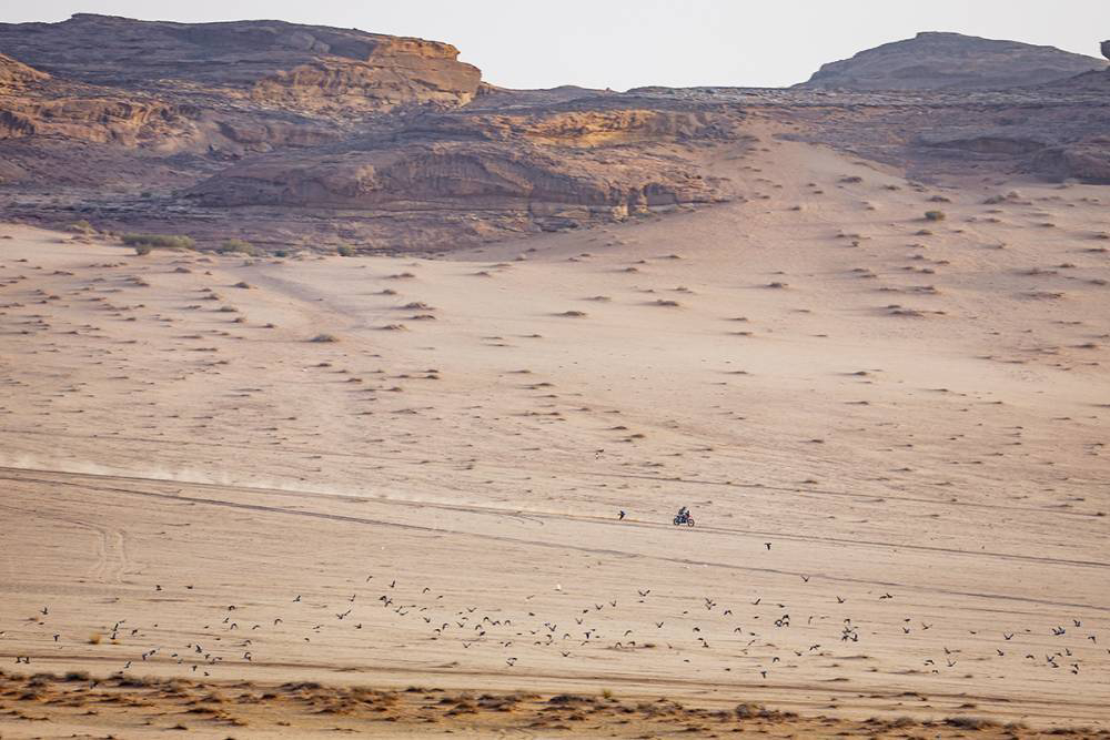 رحلة التحمل والإثارة في سباق الدراجات النارية