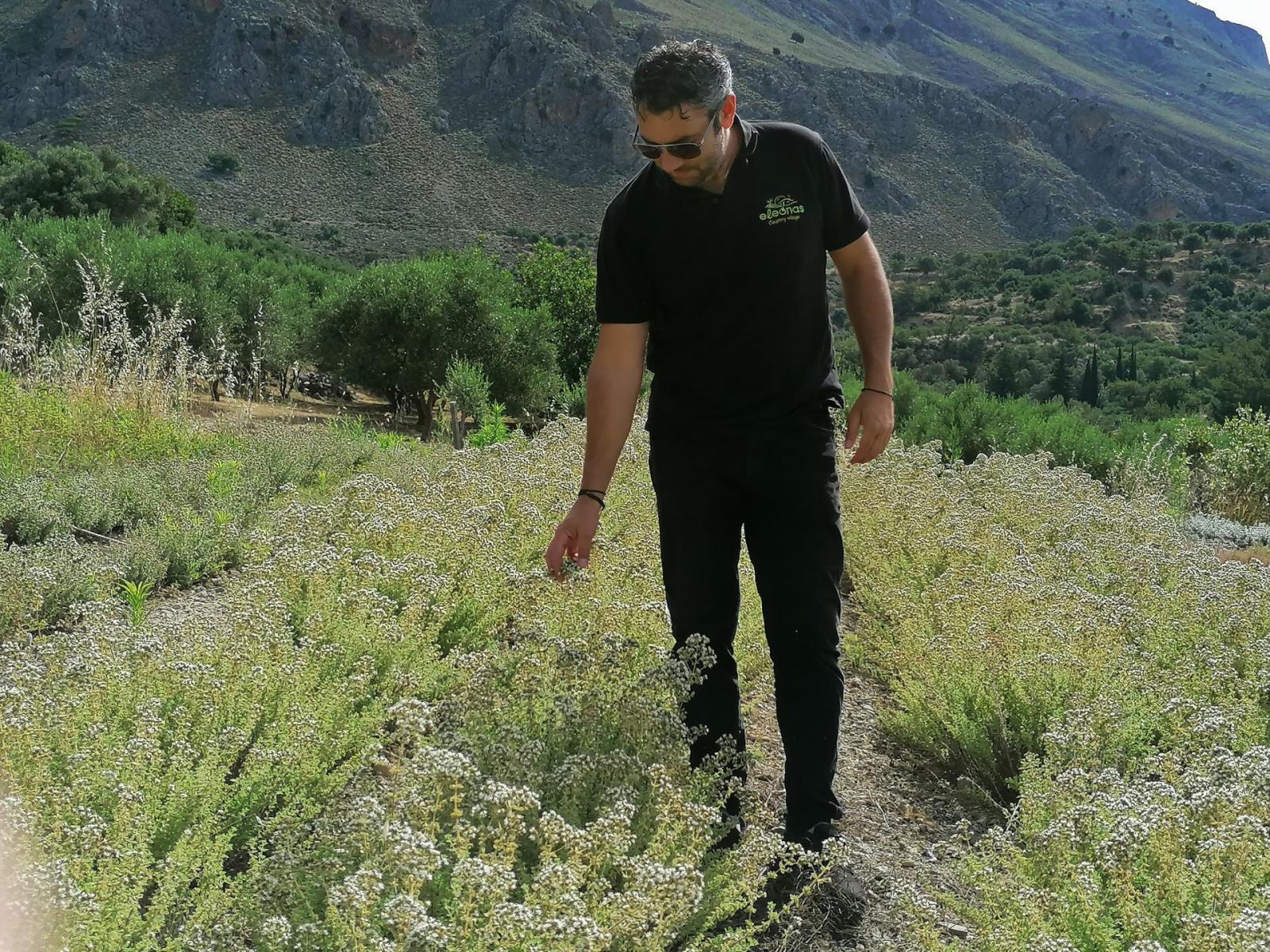 مزرعة Eleonas Organic