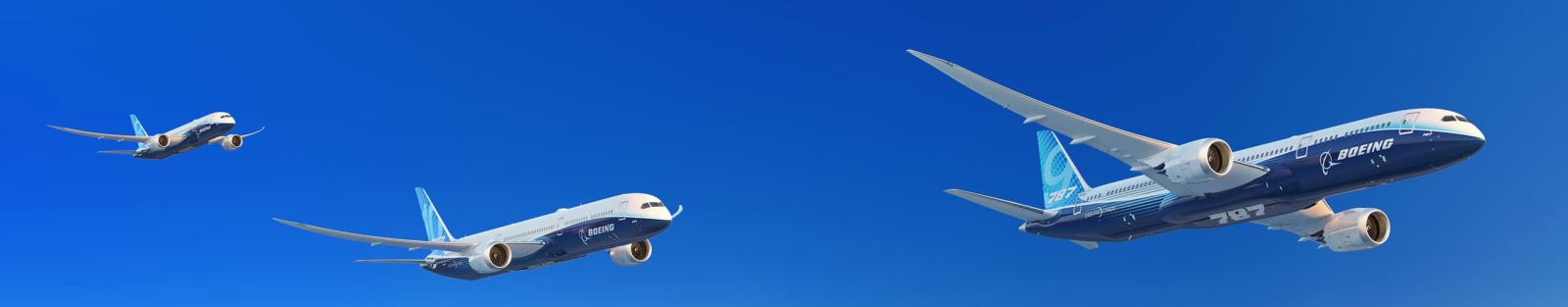  أسطول طائرات بوينغ 787 الدريملاينر