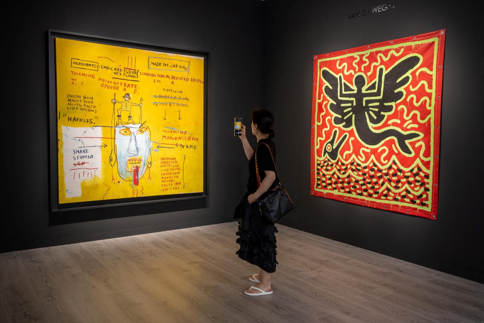 لوحة باسكيات "Onion Gum" تعرض للبيع بسعر 21.5 مليون دولار/ المصدر: AFP