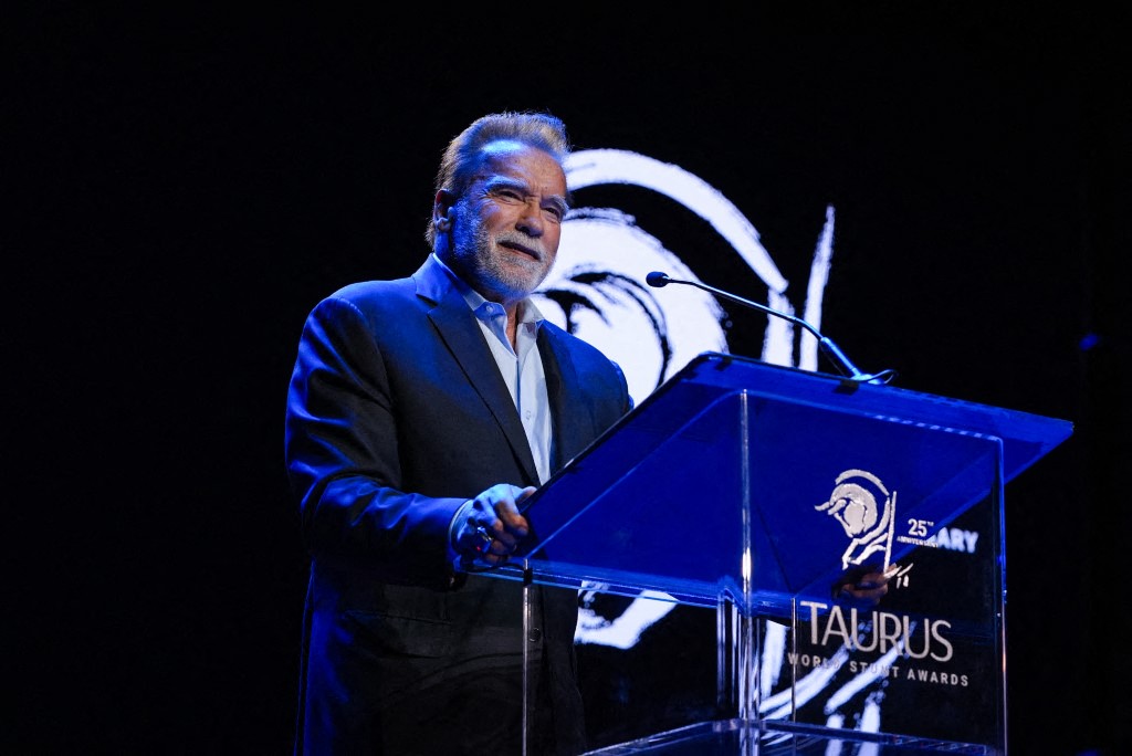 شوارزنيجر
