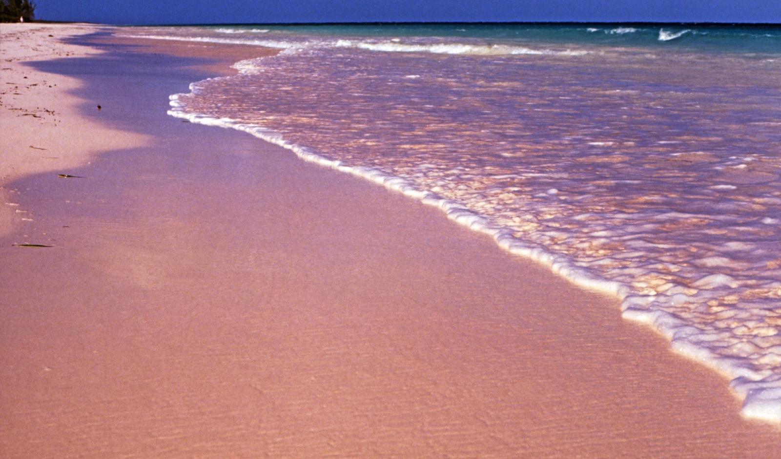 Pink Sands Beach 