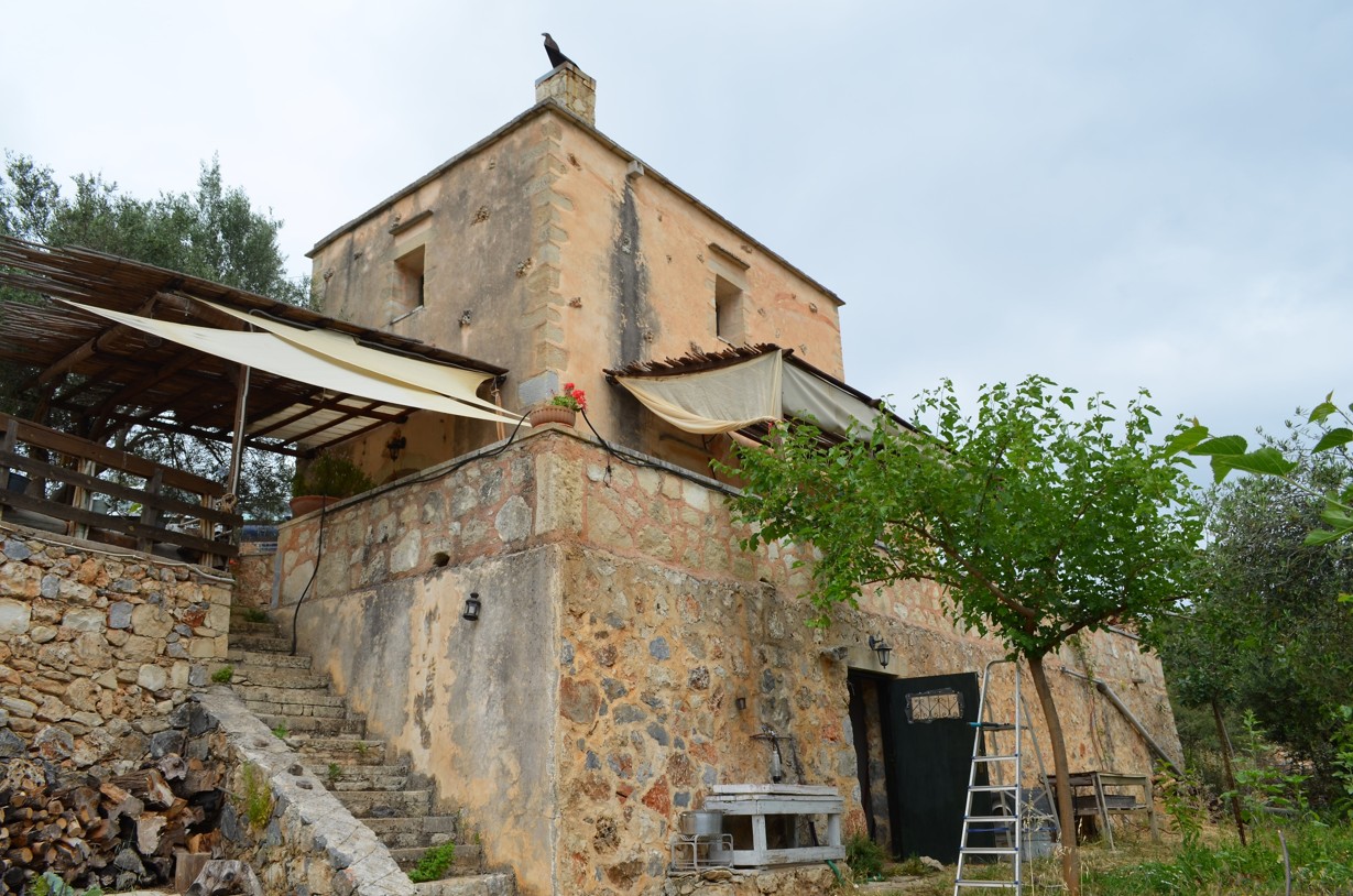 مزرعة The Olive