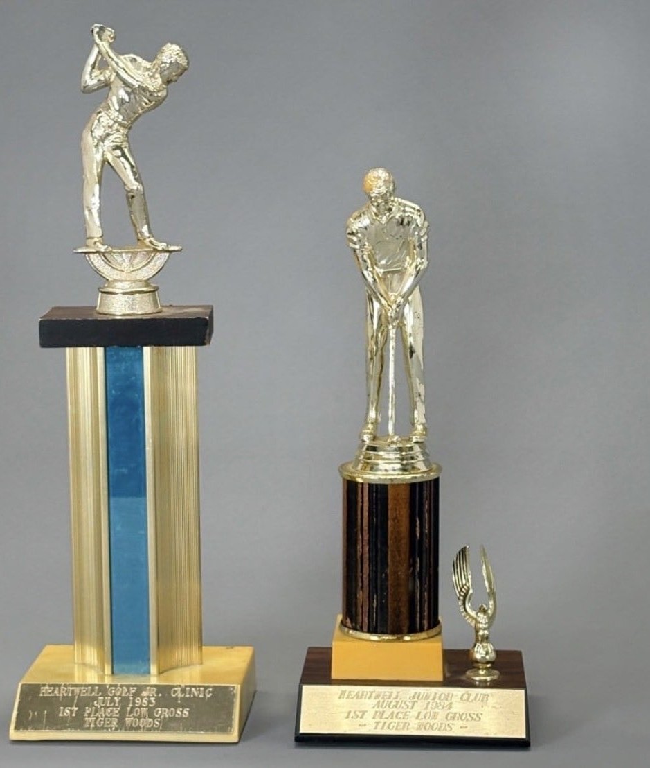 سعر كؤوس تايجر وودز 