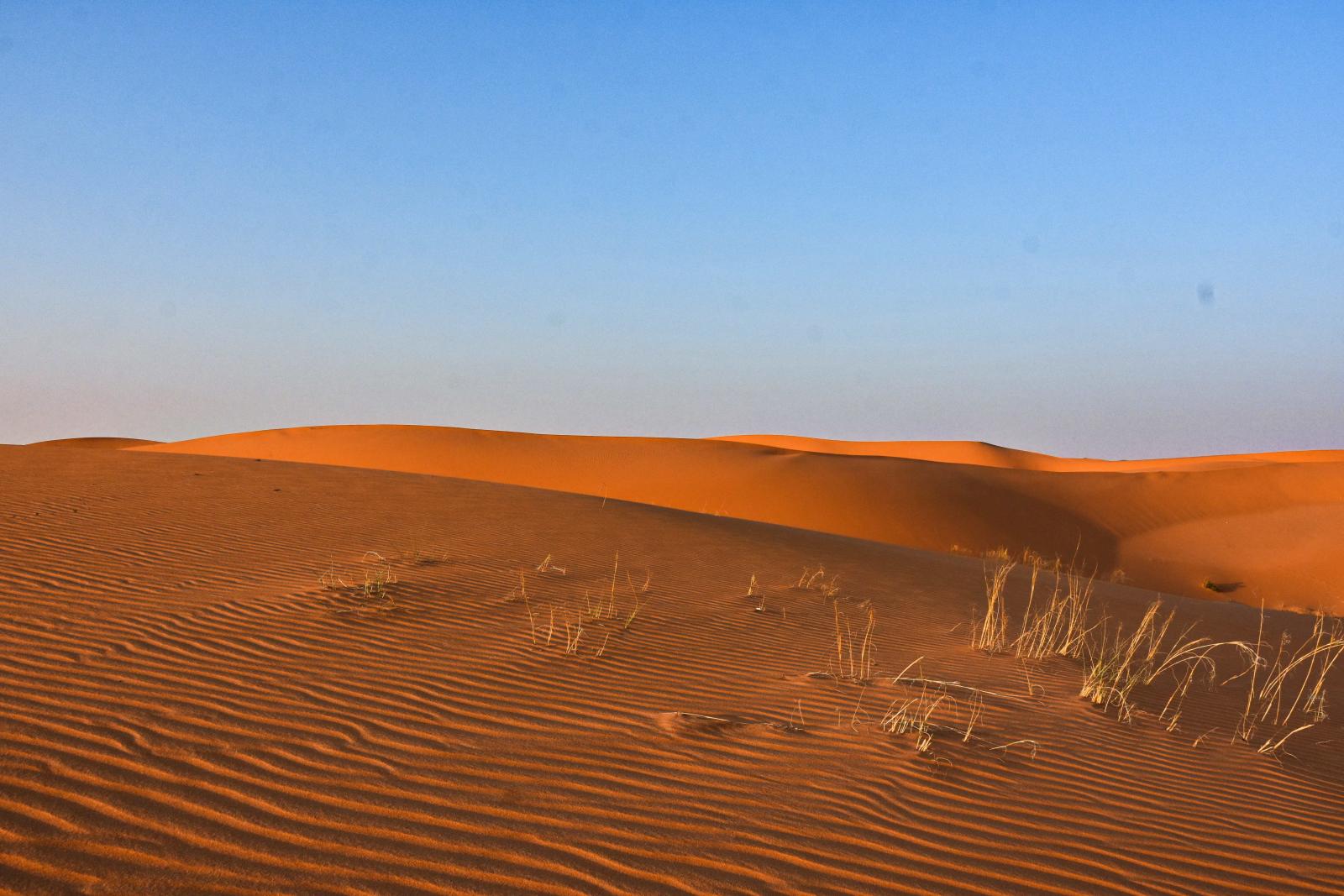 الرمال الحمراء في صحراء الدهناء 