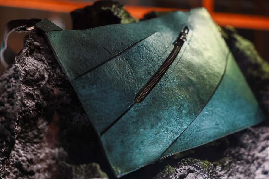 حقيبة من حفريات ديناصور التيرانوساروس ركس