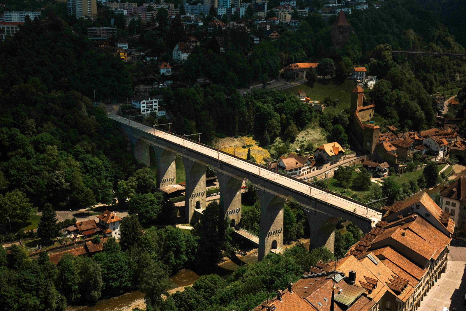 طبيعة تمتد حول المدينة لتكمل تجربة فريبورغ الهادئة