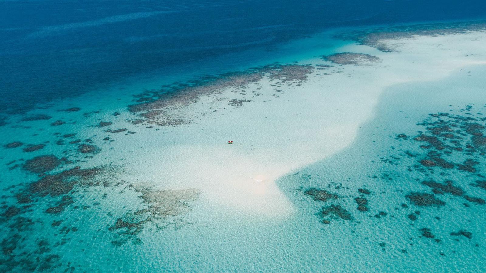 جزيرة البياضة