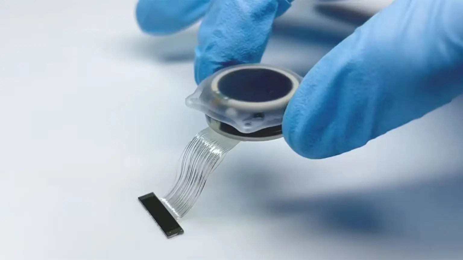 المصدر: Neuralink