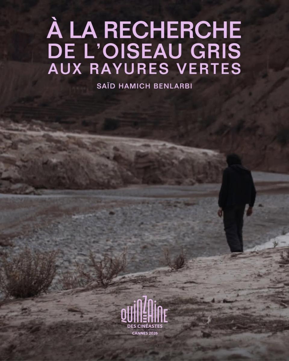 فيلم In Search of the Green-striped Bird