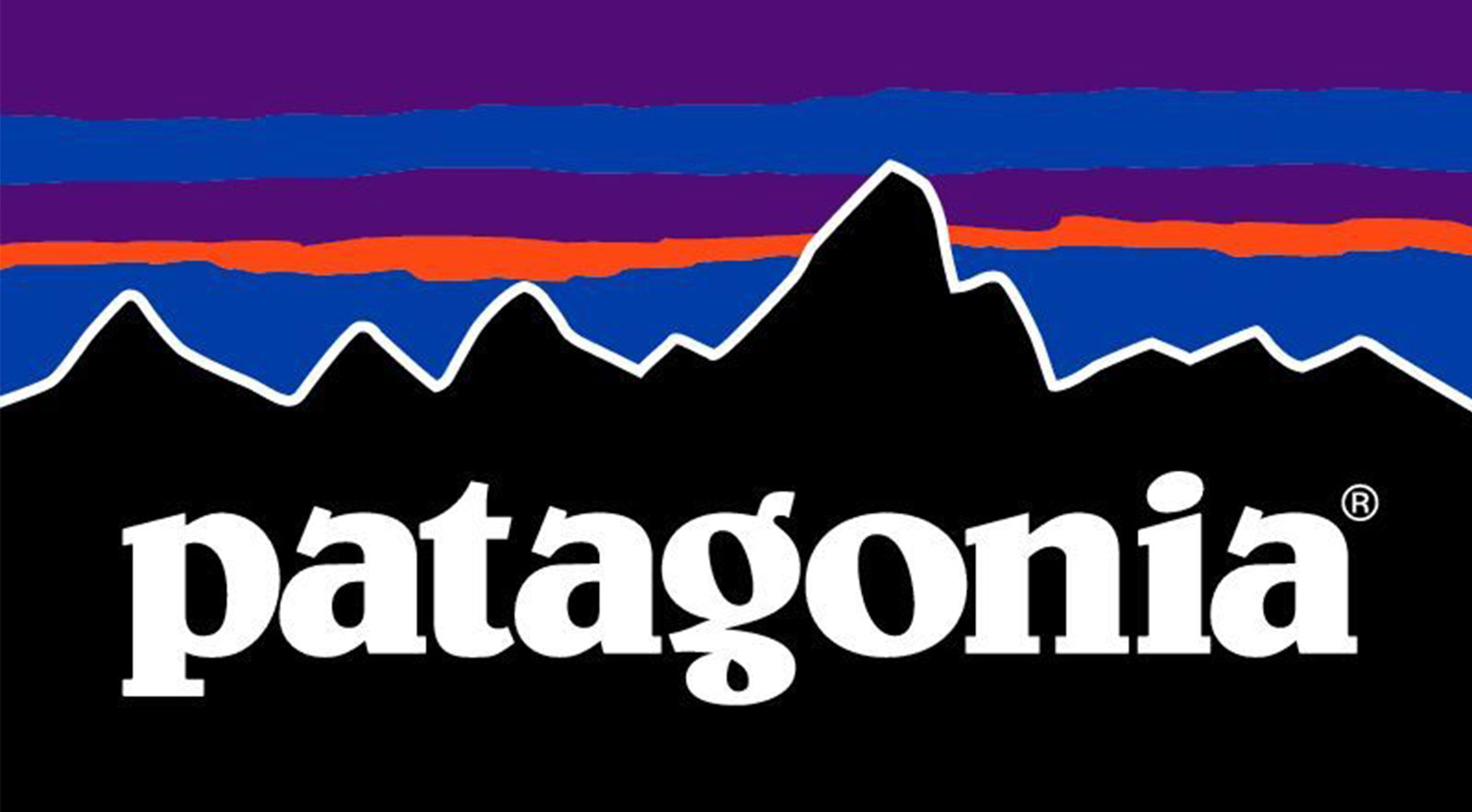 شركة Patagonia