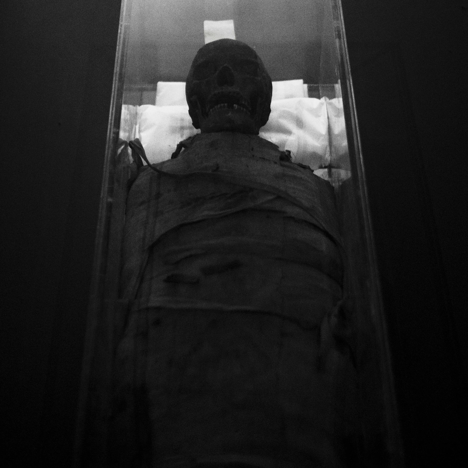 اكتشاف مومياء عُثر عليها في سرداب بمنطقة "بلاتزنشتاين"