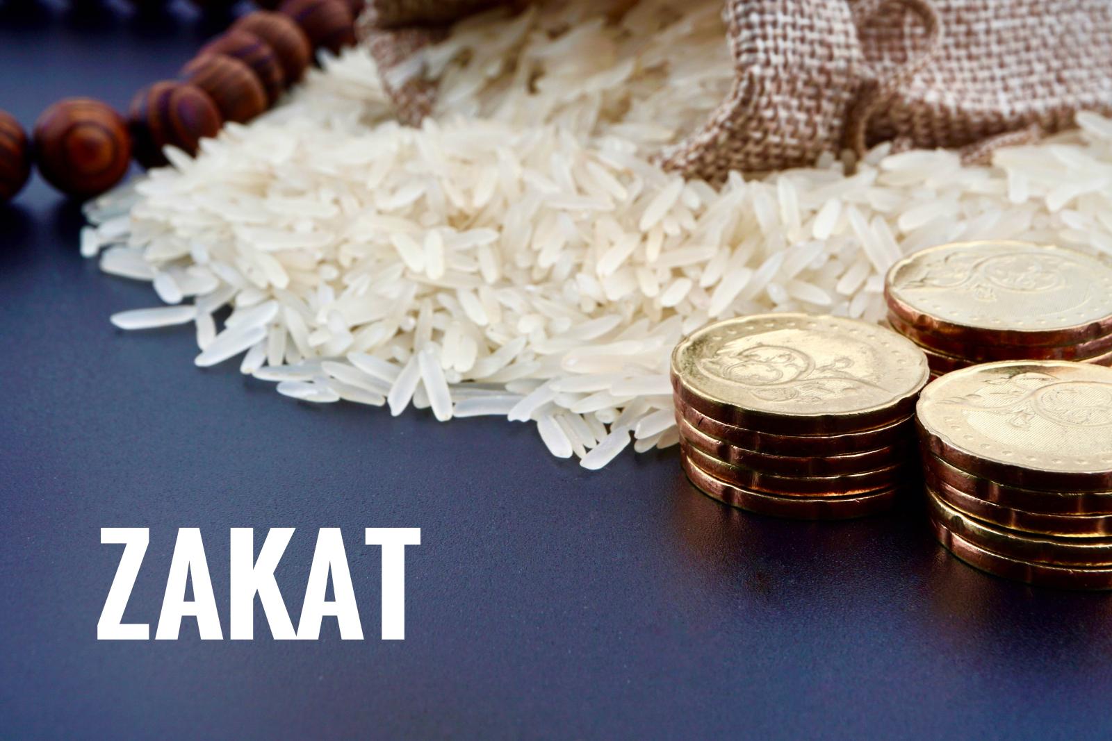 الزكاة ركنٌ يثبت الإيمان ويطهّر المال