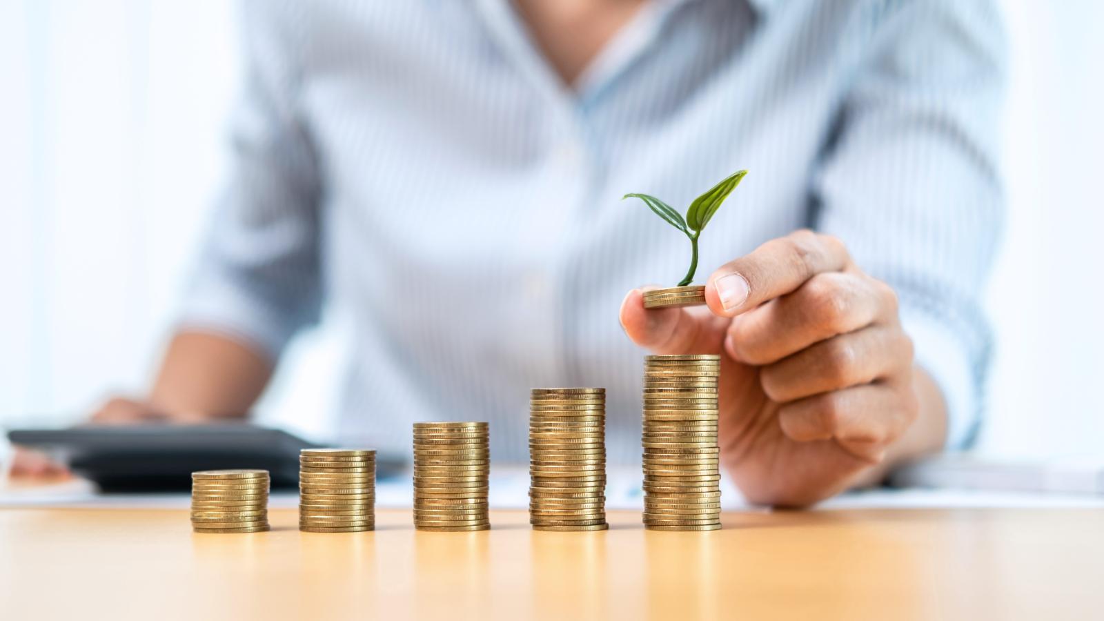 جاهزيتك المالية هي البذرة الأولى للتحجيم الآمن