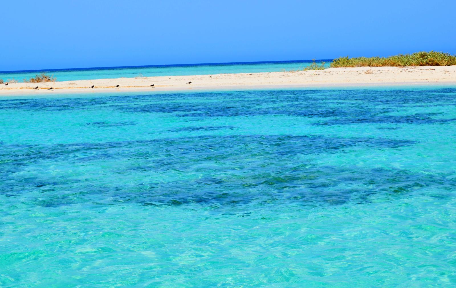 شاطئ جزيرة أملج 